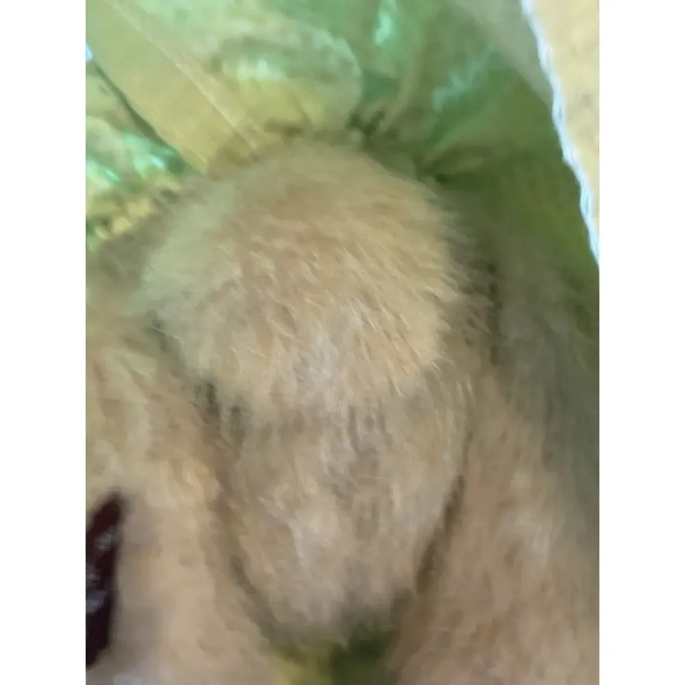 Vtg Bearington Collection Meg Egg Easter Bunny Rabbits Plush Twin Sister Lot 2